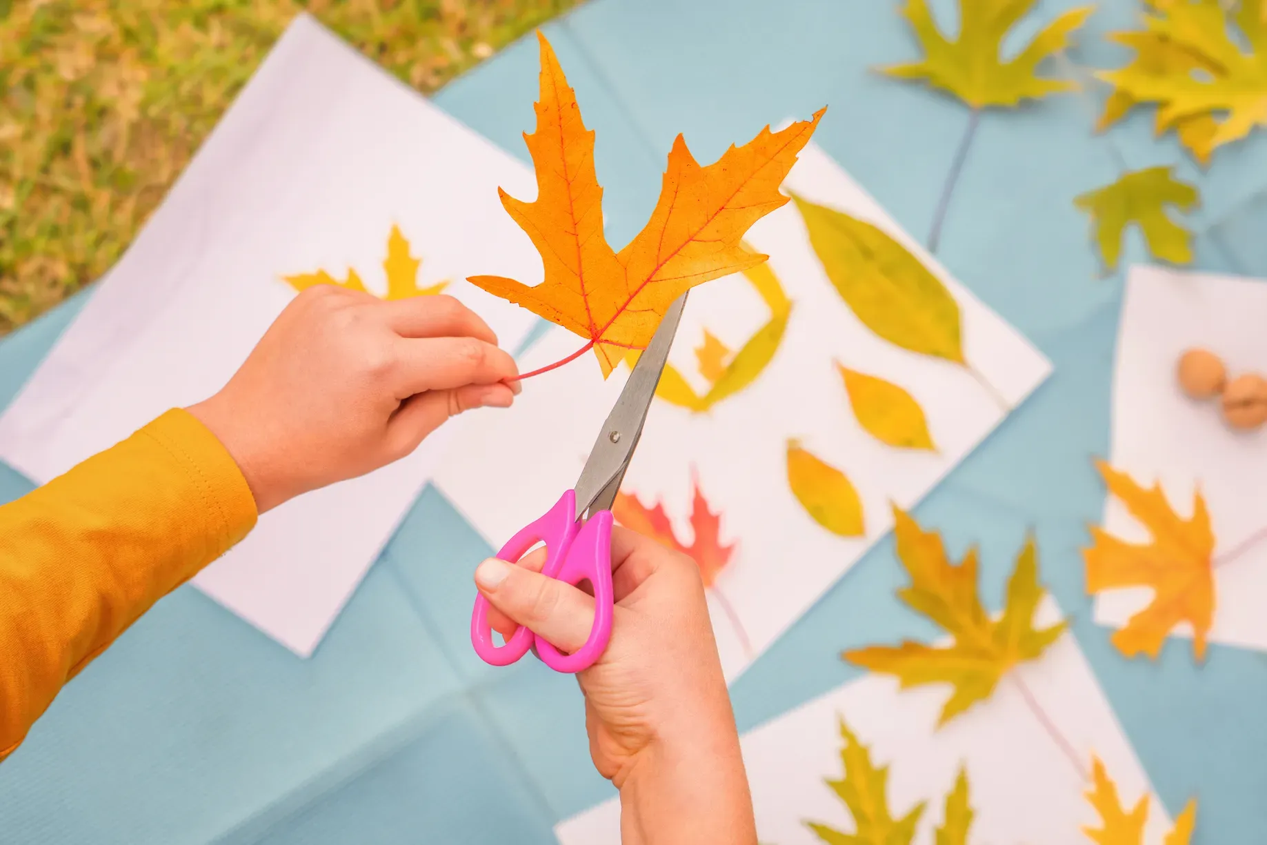 Ein Kind schneidet sorgfältig ein Herbstblatt mit einer Schere aus. Das Basteln von Herbstlaternen ist eine beliebte und kreative Herbstaktivität. Es ist nicht nur unterhaltsam, sondern jedes Kind kann am Ende stolz eine selbstgemachte, leuchtende Laterne präsentieren. In diesem Artikel erklären wir euch Schritt für Schritt, wie ihr gemeinsam mit euren Kindern diese schönen Laternen basteln könnt.