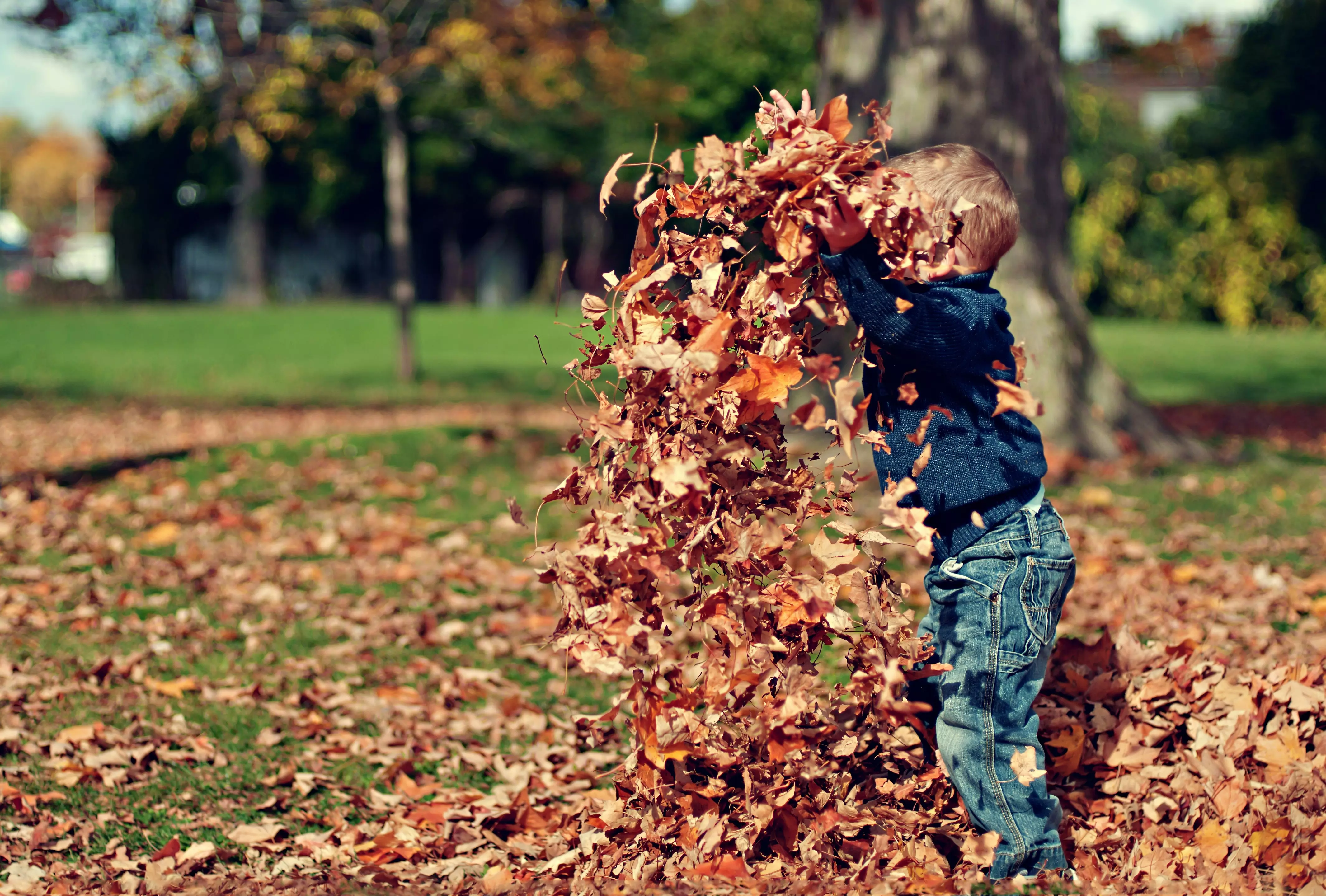 Der Herbst schafft mit seinen leuchtenden Farben und der kühlen Luft die perfekte Kulisse für einen Kindergeburtstag. Kreative Aktivitäten wie Abenteuer im Wald, herbstliches Basteln und saisonale Snacks machen den Tag zu einem unvergesslichen Erlebnis für Kinder und Eltern gleichermaßen.